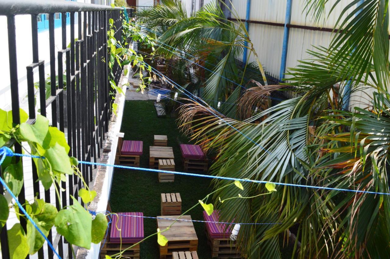 Groove House Hostels โคลอมโบ ภายนอก รูปภาพ